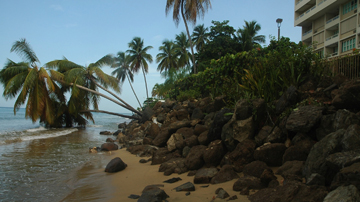 Foto suministrada