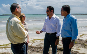 Al recorrido asistieron el alcalde de Ceiba, Angelo Cruz, la ingeniera María Blázquez Arzuaga, directora ejecutiva de la Autoridad para el Redesarrollo de Roosevelt Roads, el asesor del gobernador en Asuntos Municipales, Eduardo Vergara y el senador por el Distrito 8, Luis Daniel Rivera (Foto / Suministrada)