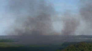 03-31-15_Fuego_forestal_AILMM