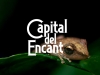 Capital-del-Encanto-1