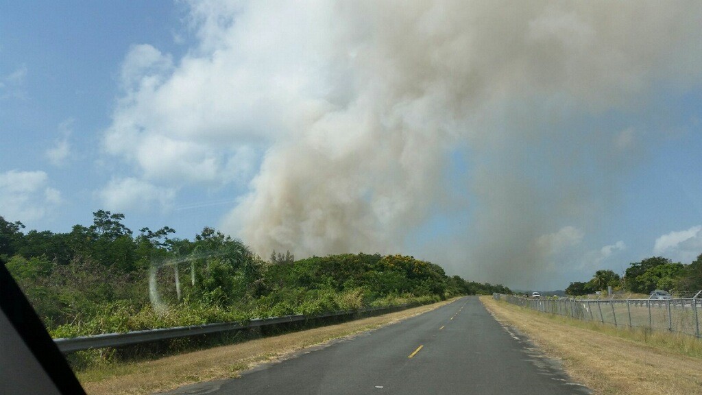 Fuego forestal en Roosevelt Roads