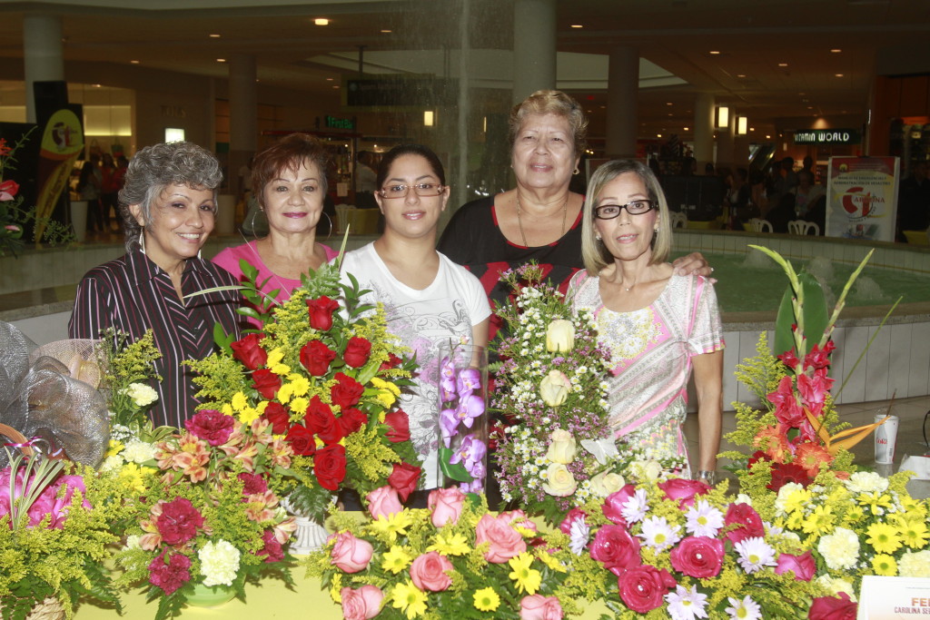 Alcalde anuncia ofrecimiento de talleres de vitrales  y floristería para carolinenses de la tercera edad