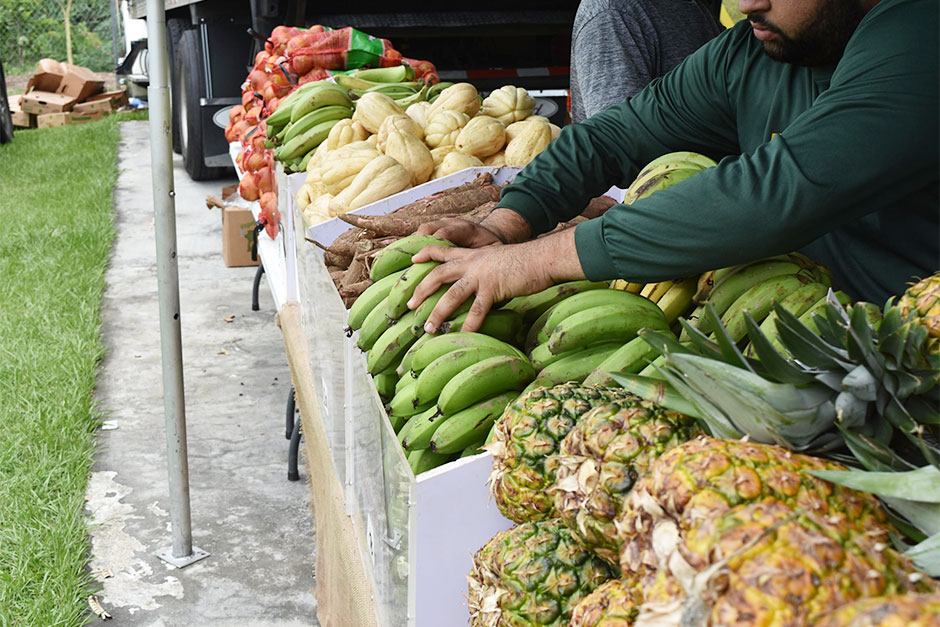 Anuncian nuevas fechas para los mercados familiares en Trujillo Alto