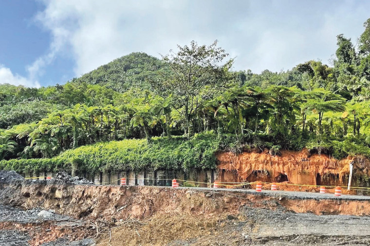 (Foto/Facebook U.S Forest Service – El Yunque National Forest)