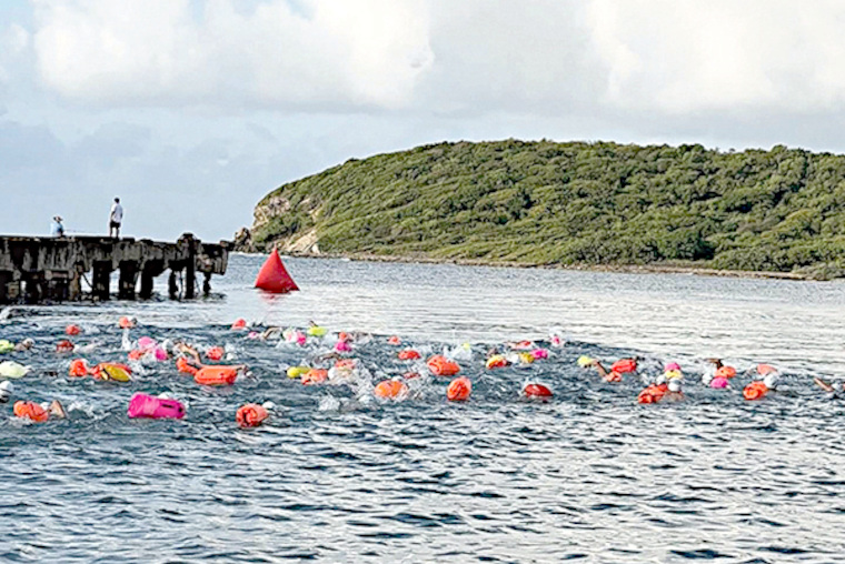 Vieques