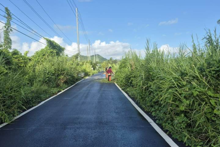 (Foto/FB:Municipio de Naguabo)
