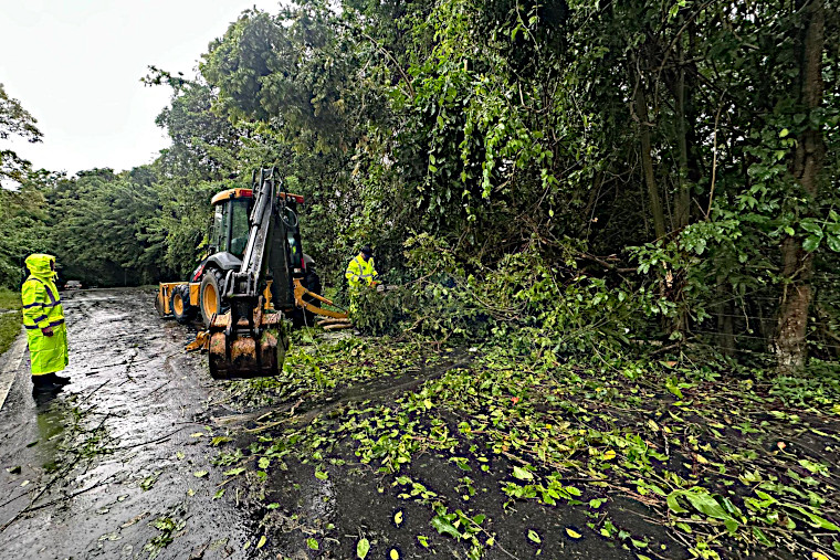 Brigadas del municipio de Luquillo remueven ramas y árboles de la carretera. (Foto/Suministrada)