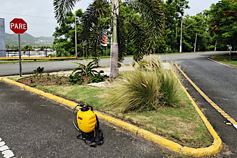 (Foto/Municipio de Nagubo)