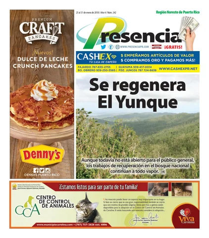 Edición 242