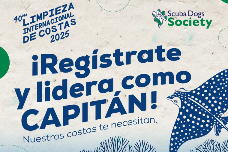 (Foto/Suministrada)
