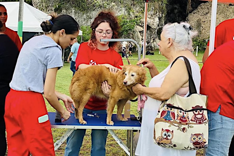 (Foto/Suministrada)