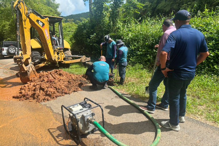 (Foto/Municipio de Ceiba)